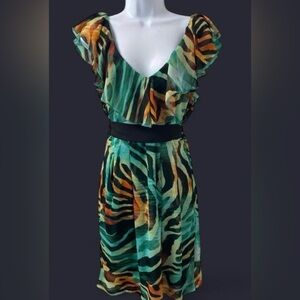 🦓Bisou Bisou Colorful Zebra Print Dress-Size 10